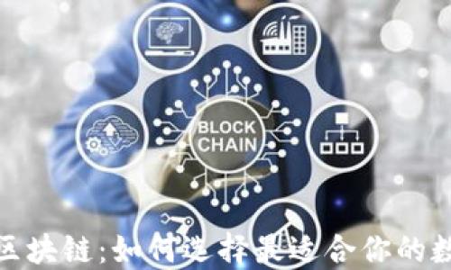 
探索最大的钱包区块链：如何选择最适合你的数字资产管理工具