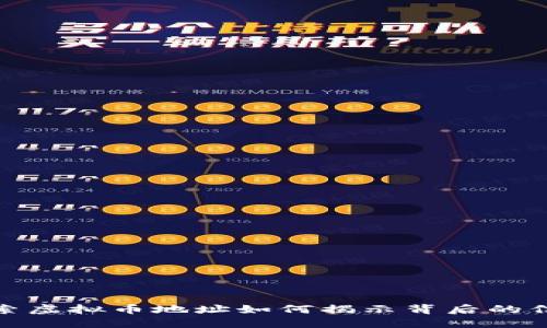 探索虚拟币地址如何揭示背后的信息