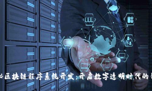 揭秘区块链程序系统开发：开启数字透明时代的钥匙
