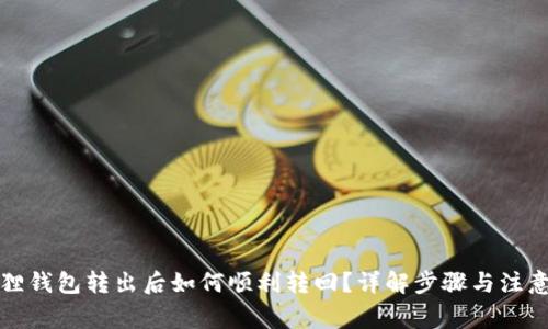 小狐狸钱包转出后如何顺利转回？详解步骤与注意事项