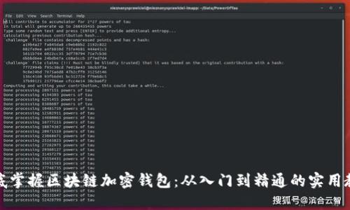 彻底掌握区块链加密钱包：从入门到精通的实用教程