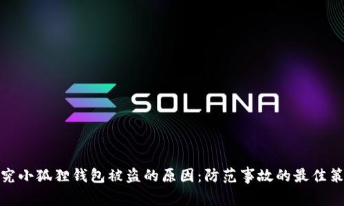 探究小狐狸钱包被盗的原因：防范事故的最佳策略