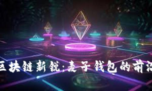 探索区块链新锐：麦子钱包的前沿之旅