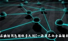 :区块链钱包转账多久到？一次详尽的全面解析