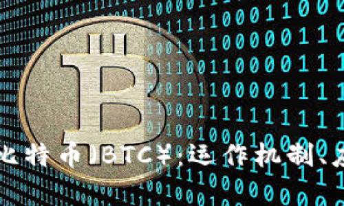 深入了解区块链与比特币（BTC）：运作机制、应用场景与未来前景