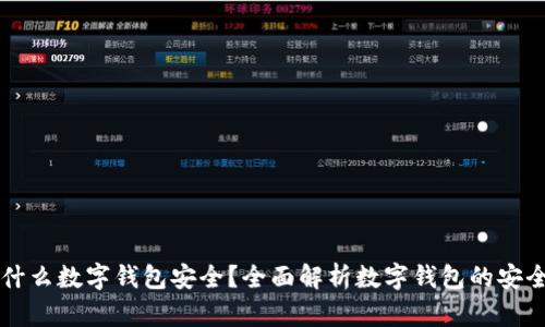 用什么数字钱包安全？全面解析数字钱包的安全性
