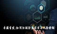 币圈首发：如何识别潜力项目与风险控制