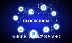 全面分析：哪款数字钱包安全？