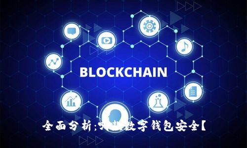 全面分析：哪款数字钱包安全？