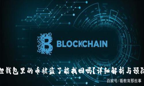 小狐狸钱包里的币被盗了能找回吗？详细解析与预防措施