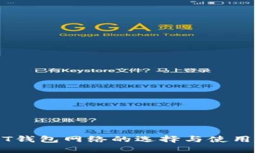 USDT钱包网络的选择与使用指南