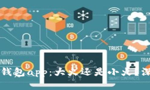 区块链钱包app：大火还是小火？深入分析