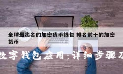 如何安装数字钱包应用：详细步骤及注意事项