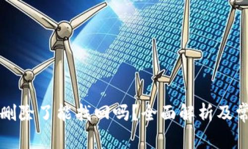 区块链钱包删除了能找回吗？全面解析及常见问题解答