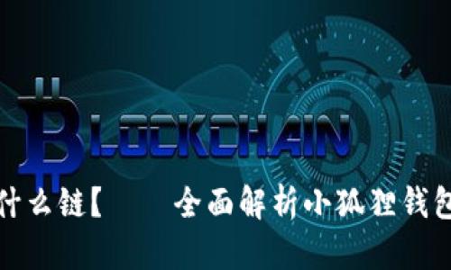 小狐狸钱包是什么链？——全面解析小狐狸钱包的区块链背景