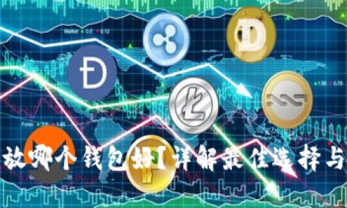 加密货币放哪个钱包好？详解最佳选择与使用指南