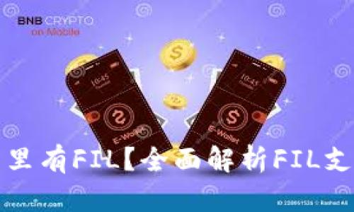 哪个数字钱包里有FIL？全面解析FIL支持的钱包类型