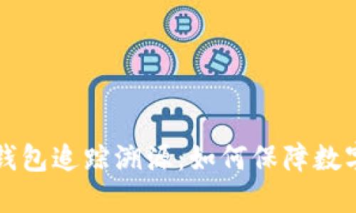 虚拟币冷钱包追踪溯源：如何保障数字资产安全