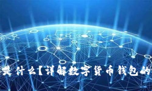 数字币钱包是什么？详解数字货币钱包的类型与功能