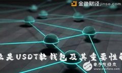 什么是USDT软钱包及其重要性解析