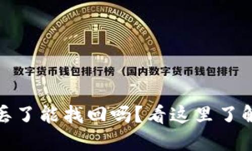 小狐狸币丢了能找回吗？看这里了解追回攻略
