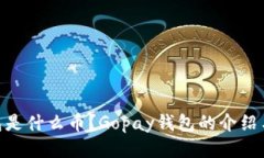 Gopay钱包是什么币？Gopay钱包的介绍与使用指南