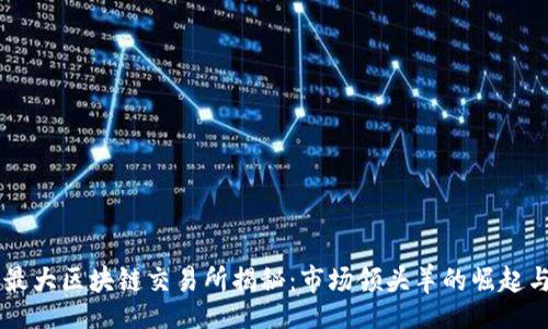 isha
    全球最大区块链交易所揭秘：市场领头羊的崛起与未来展望